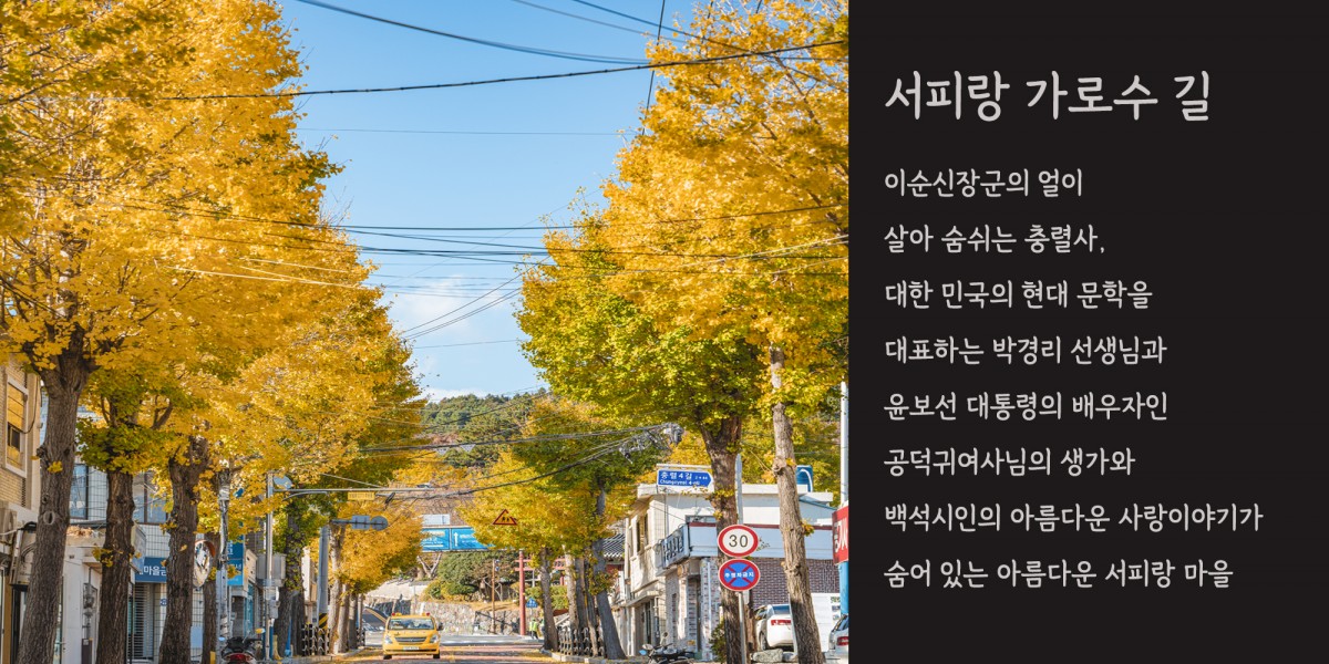 <!--<div style='font-size:1.2em; '>서피랑 가로수길</div>--!>